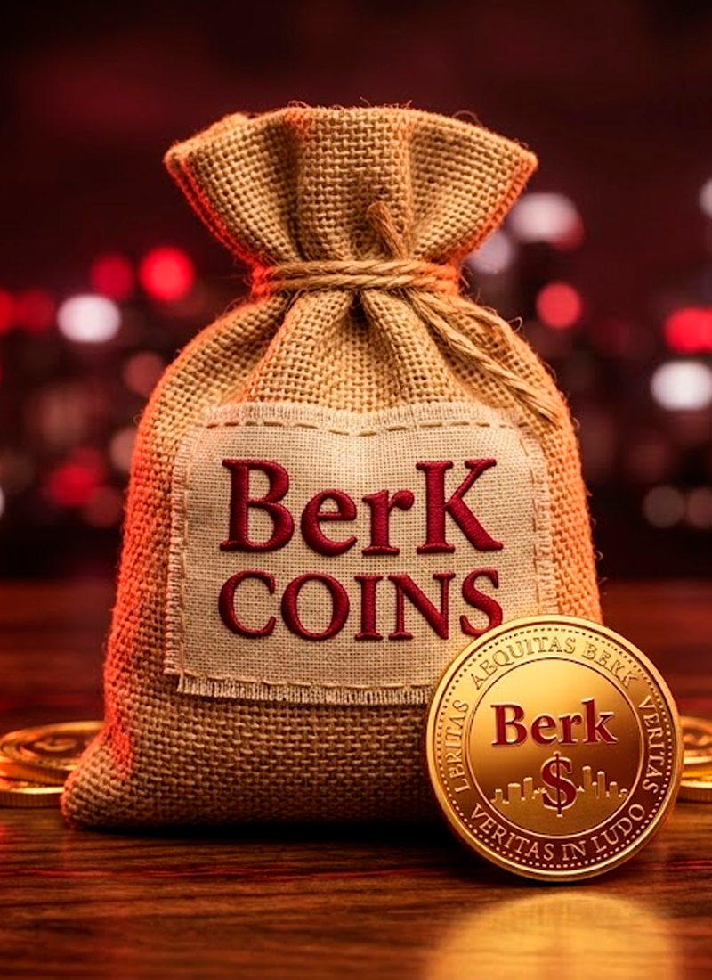 30 BERK COINS