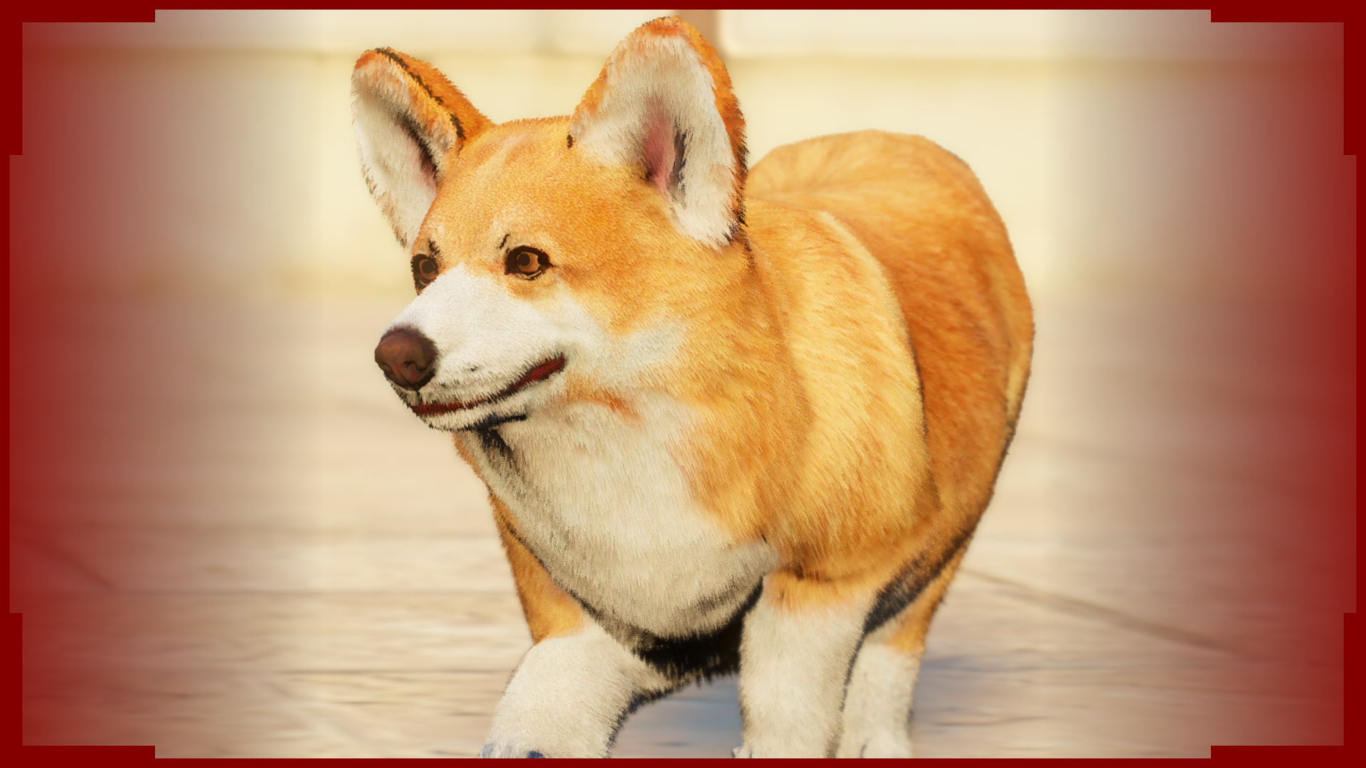 Corgi