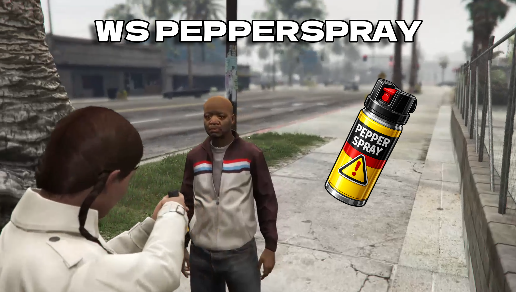 WS PEPPER SPRAY | QBCORE ESX