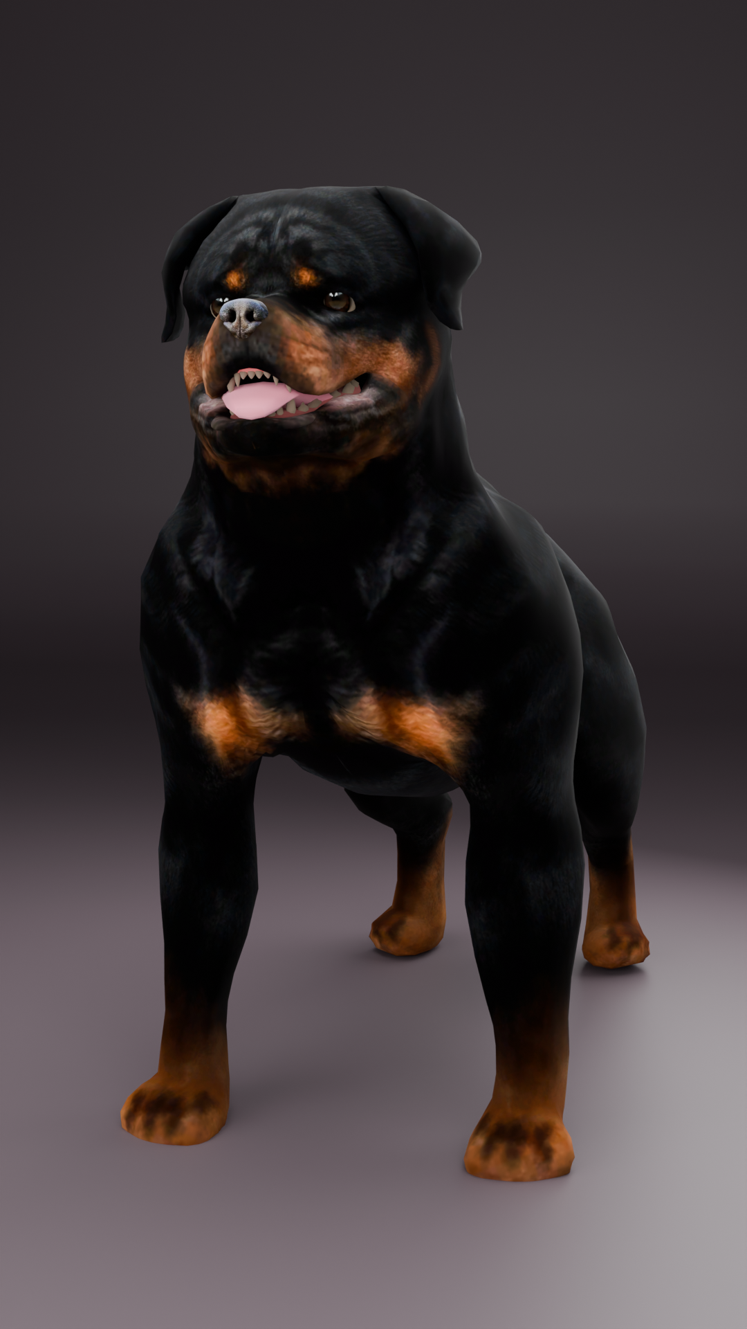Doge 5