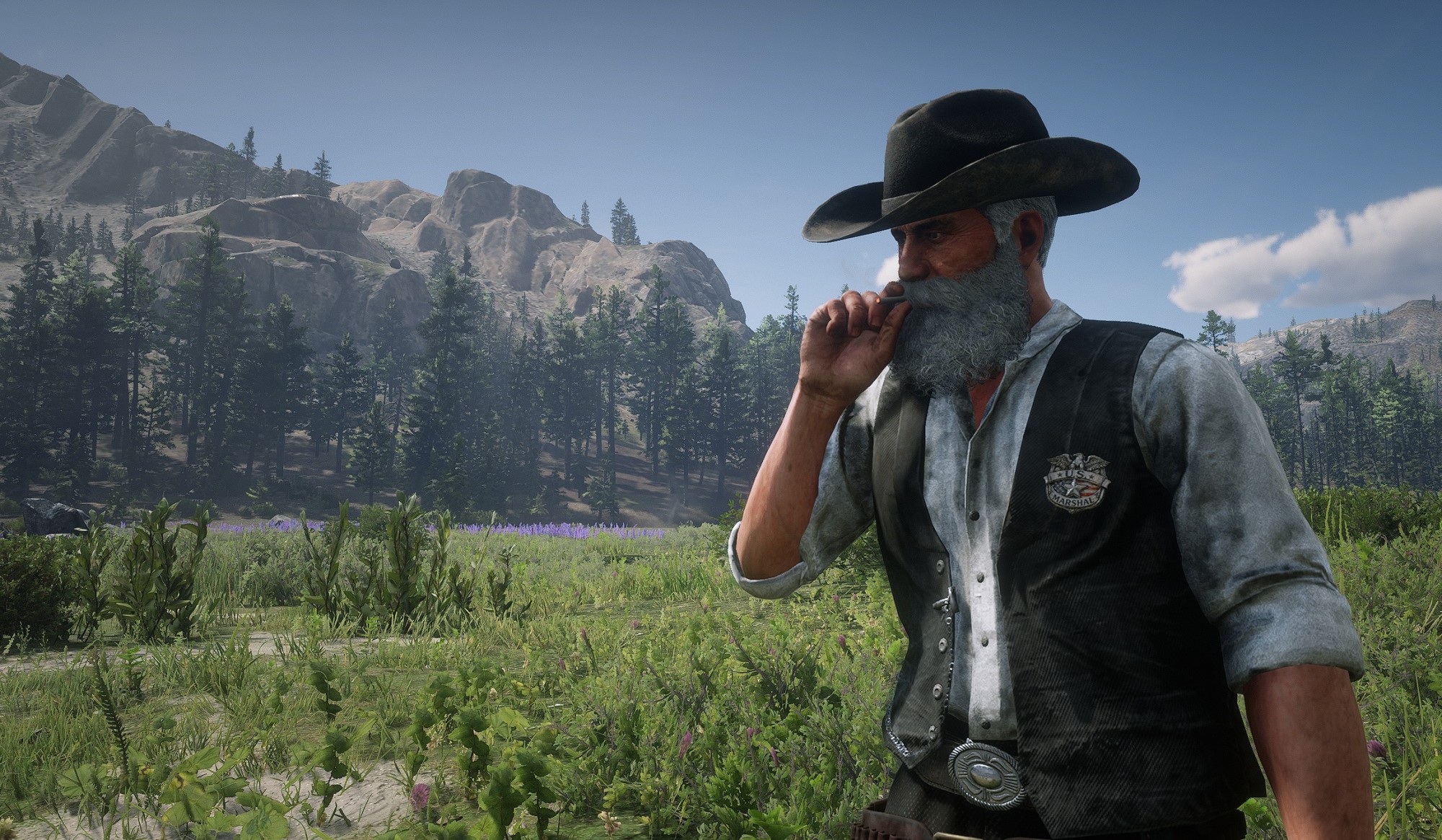 Lawman Badges Collection