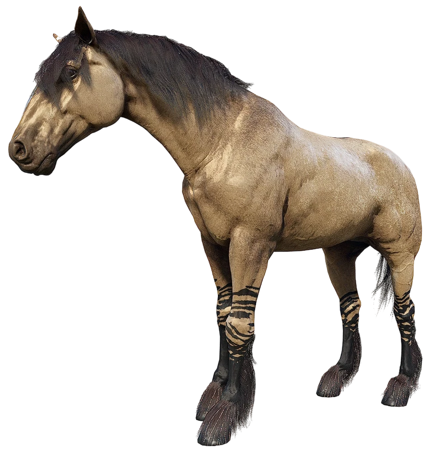 Golden Dun