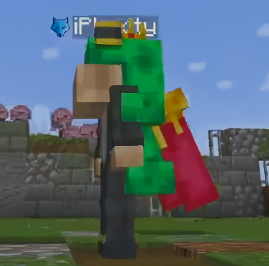 Frog Prince Backpack Bundle