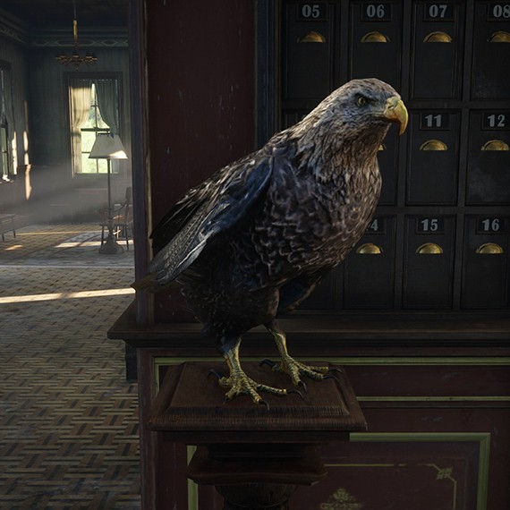 Aigle royal