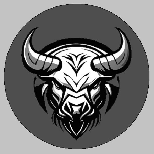 VIP Silver (Annual)