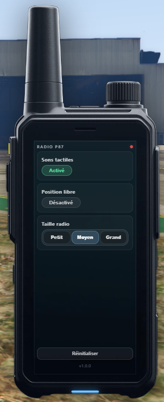 Radio p87