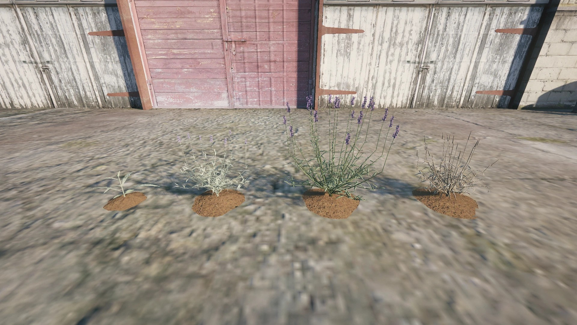 Farm Props: Greenhouse & Flowers - 6