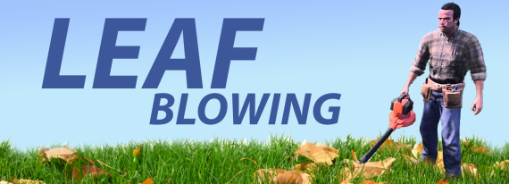 Zoovs Leafblowing