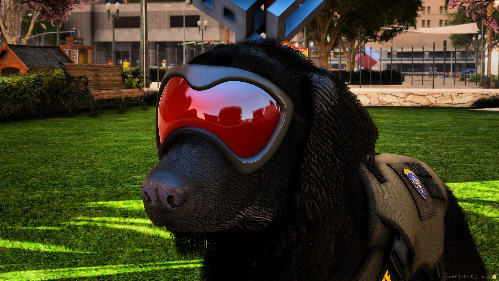 Golden Labrador Retriever Police K9