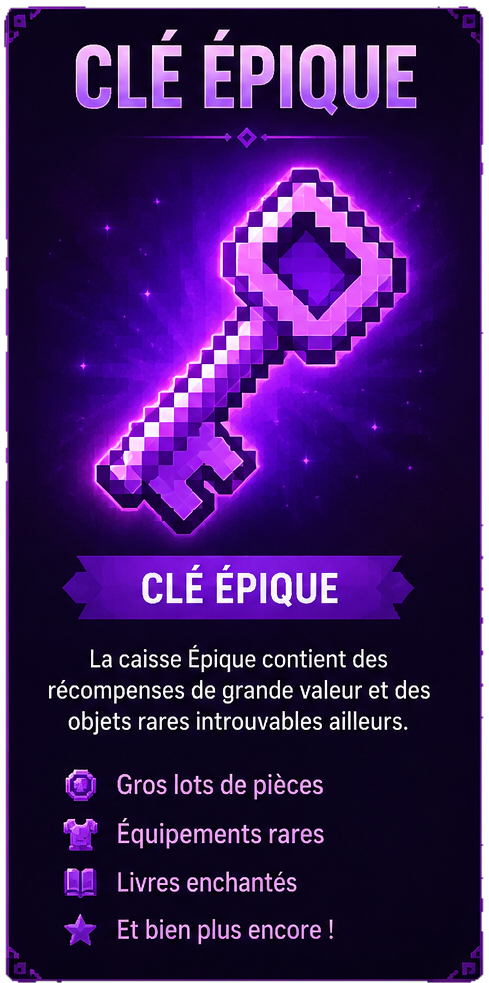 🟣 Clé Épique x6