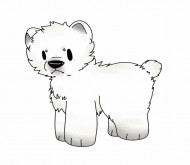 Boomer Bear 