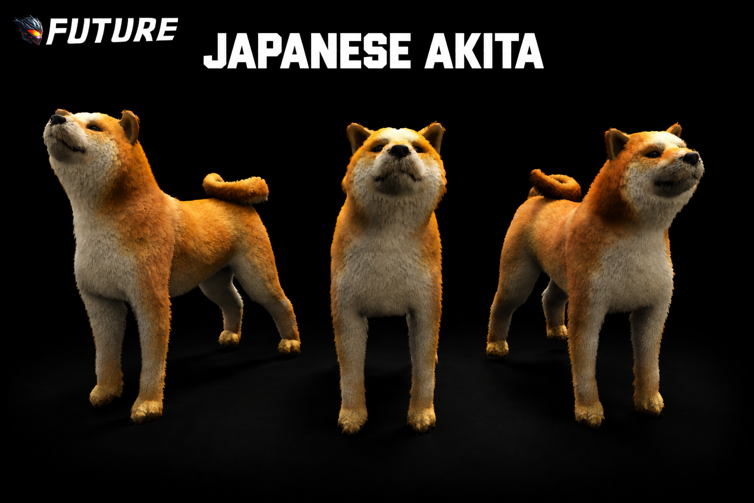 [DOG] Japanese Akita
