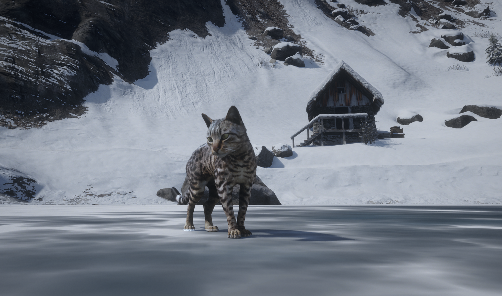 Frsk_Animals
