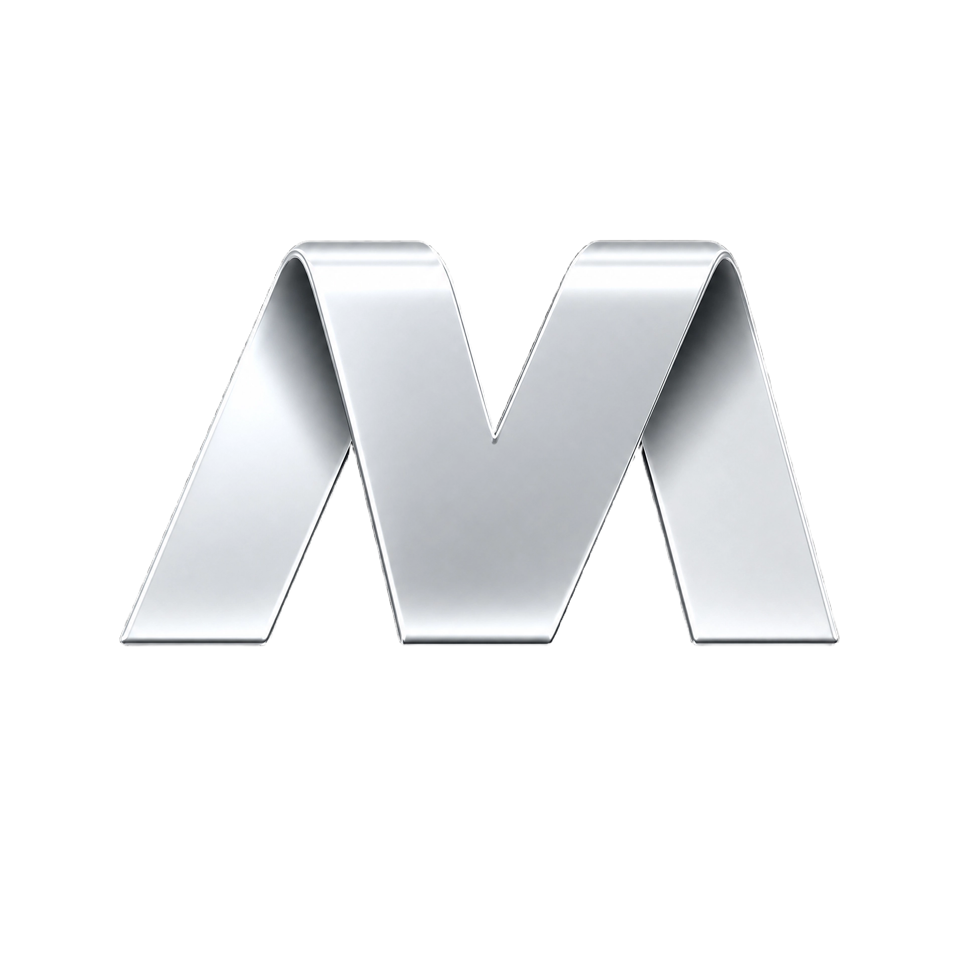Silver Supporter