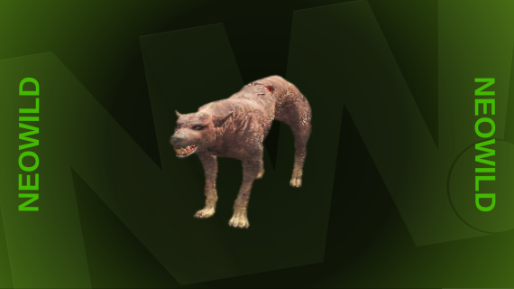 Burned Lion