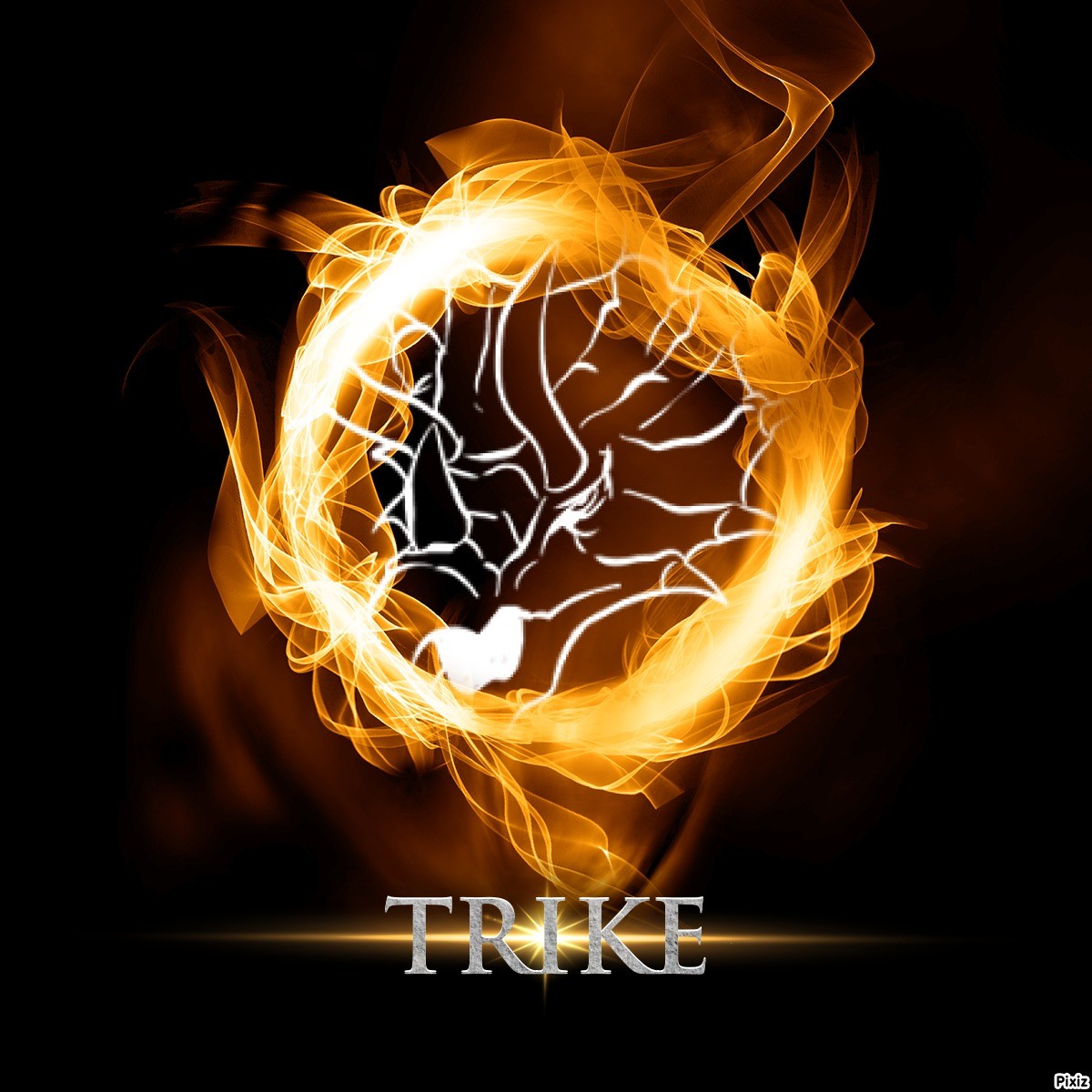 TRIKE SUBSCRIPTION