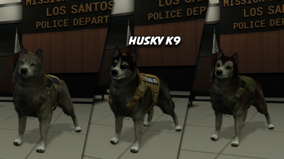 Husky - K9