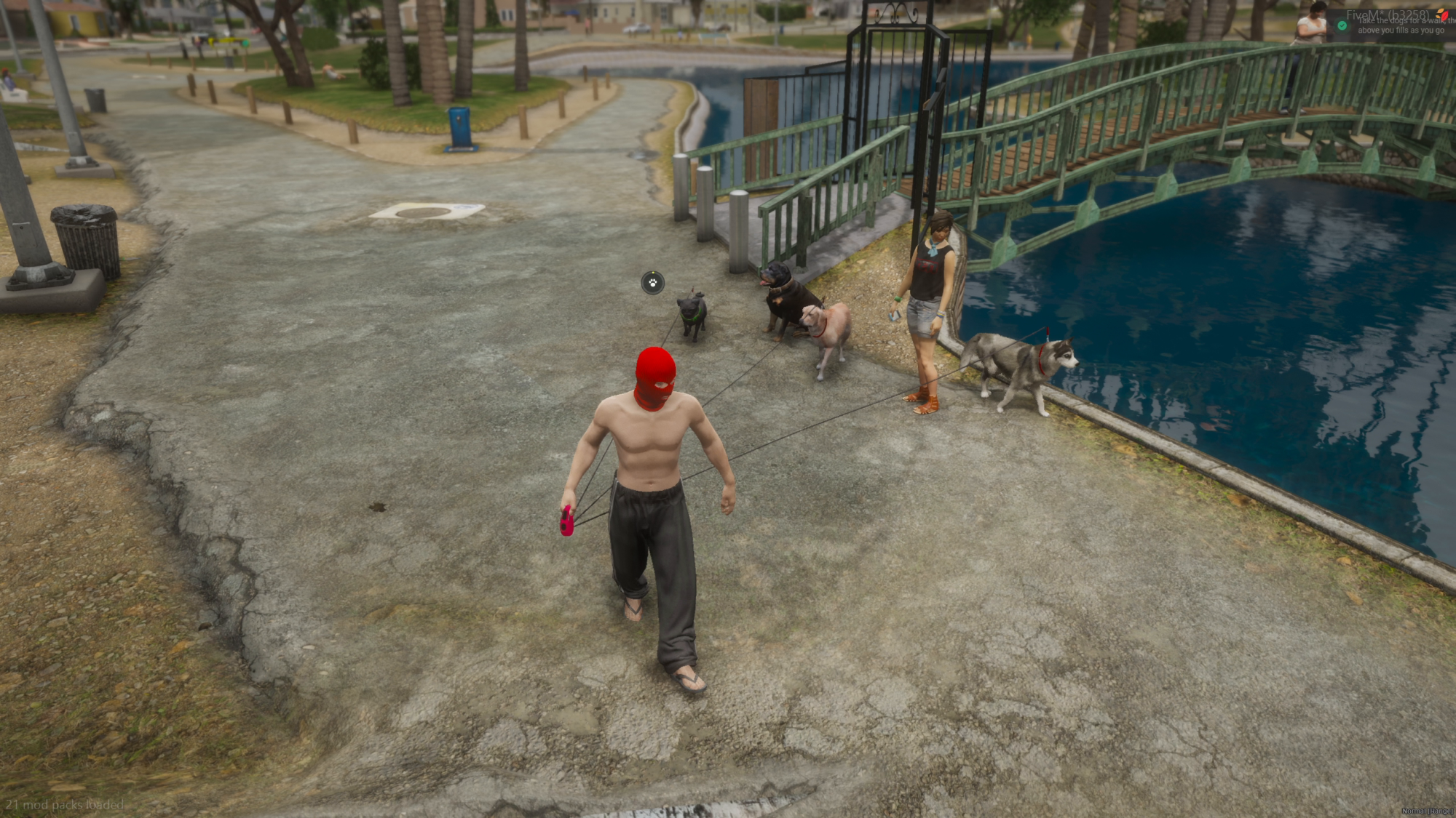 Dog Walker - Image undefined