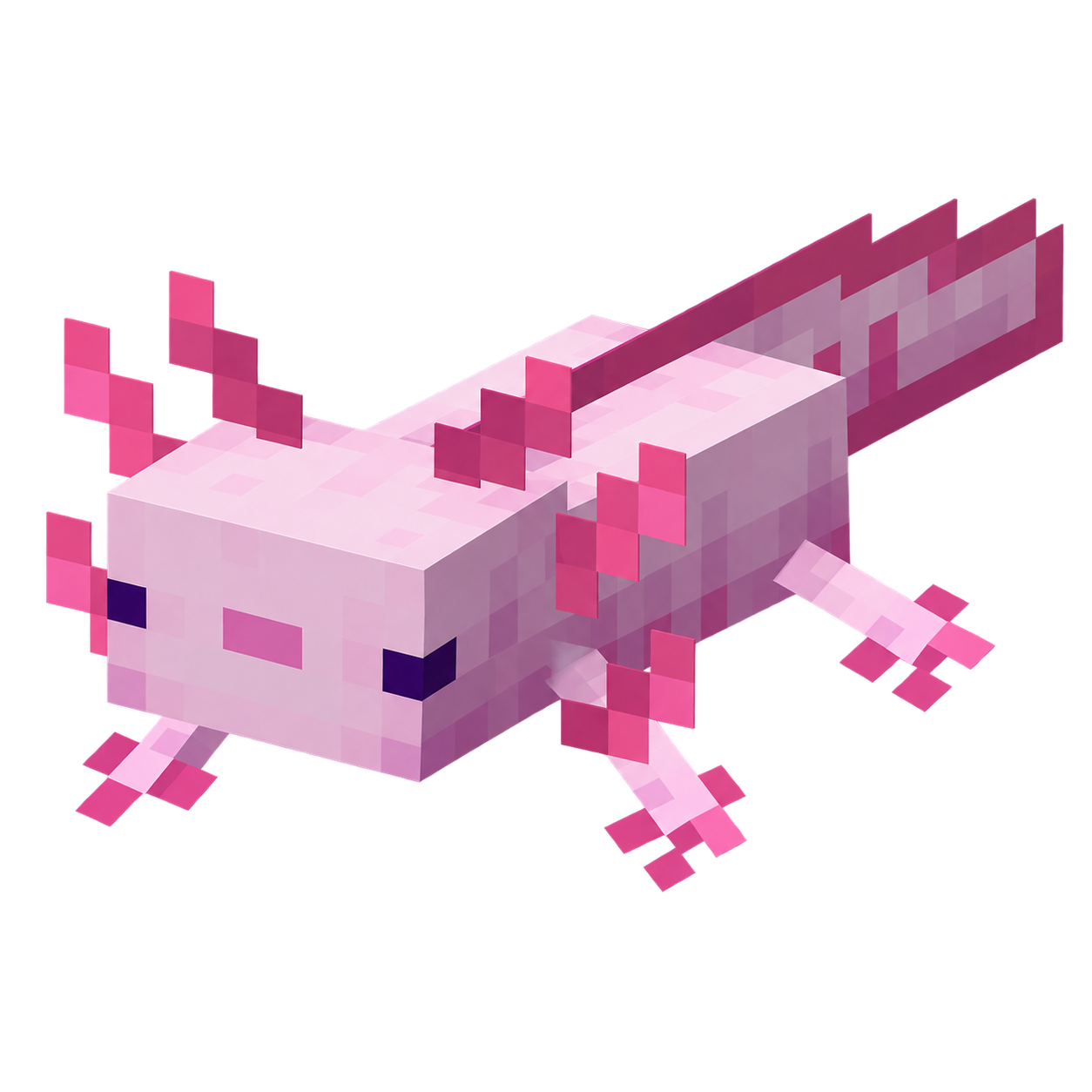 Axolotl Pet