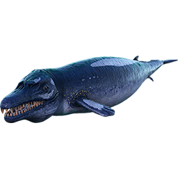 Basilosaurus