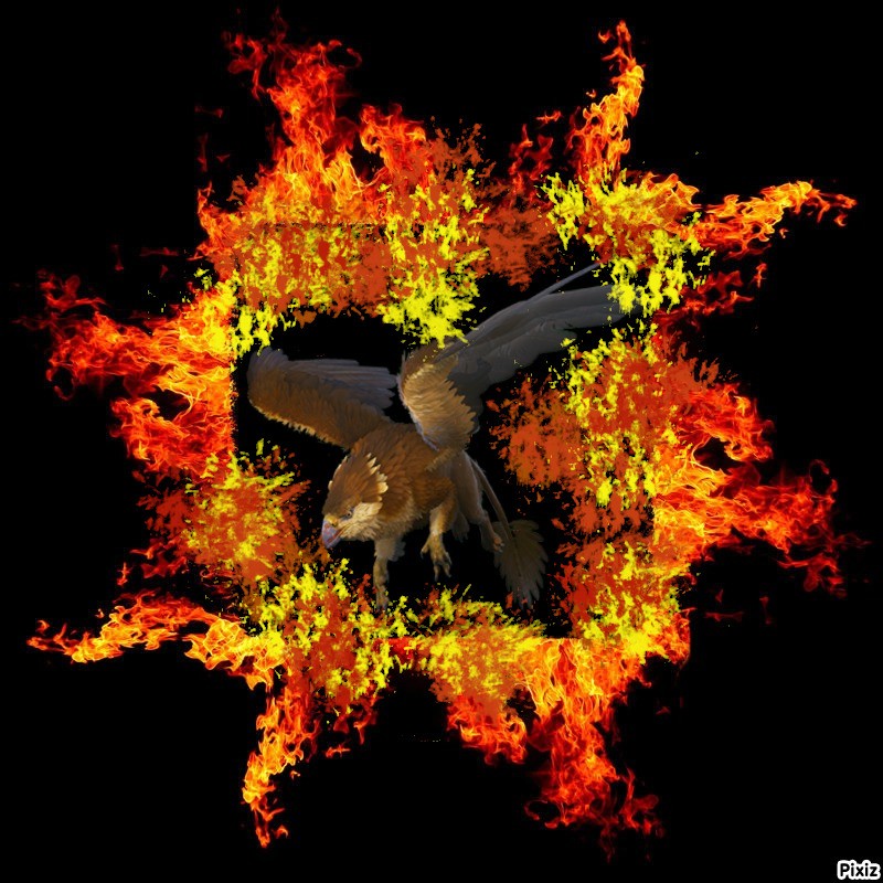 GRIFFIN LEVEL 270     "NEUTERED"