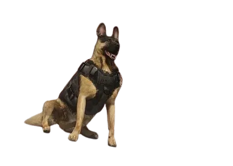 🐕 HUISDIER HERDERSHOND