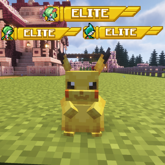 Mejora Trainer - Elite