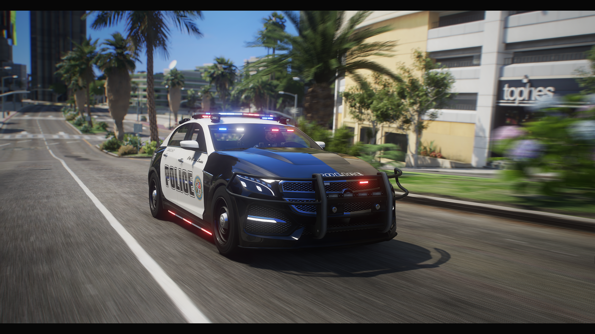 Police Albany V-STR - Image 3