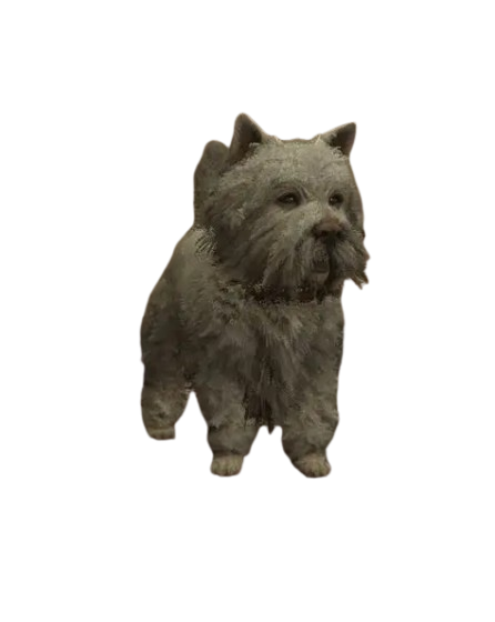 🐶 HUISDIER WESTIE