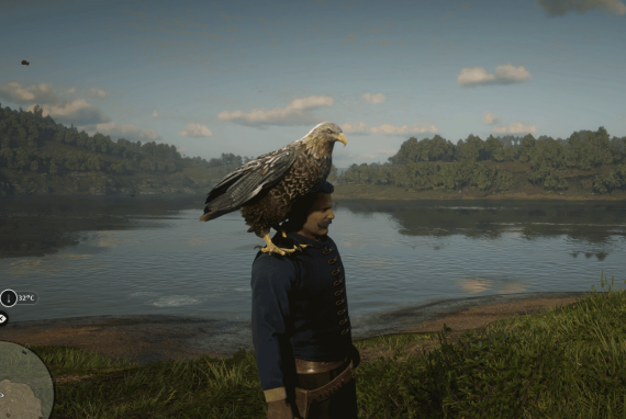 Adler