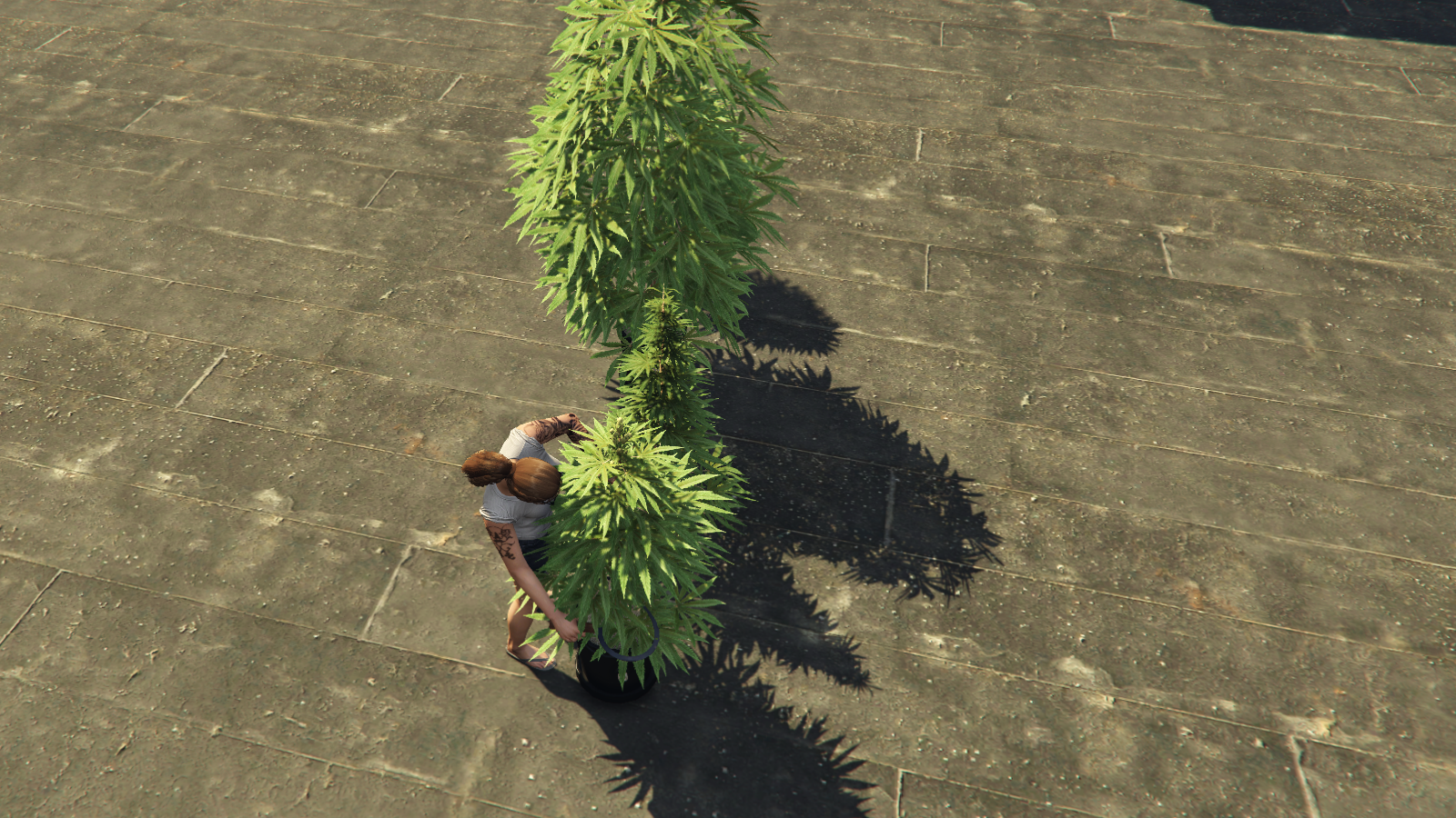 Cutting weed