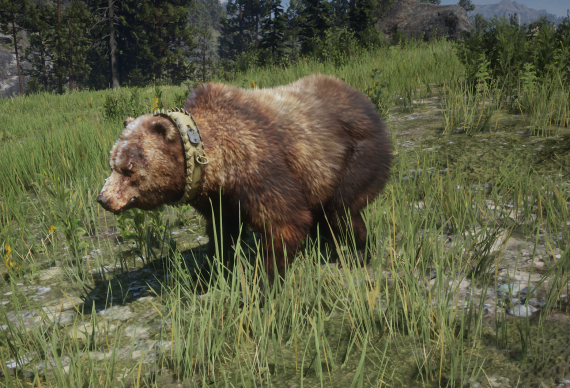 Brauner Grizzly  mit Halskette