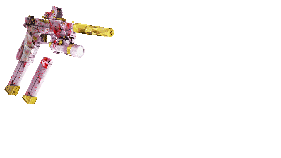 R17 GEIGI