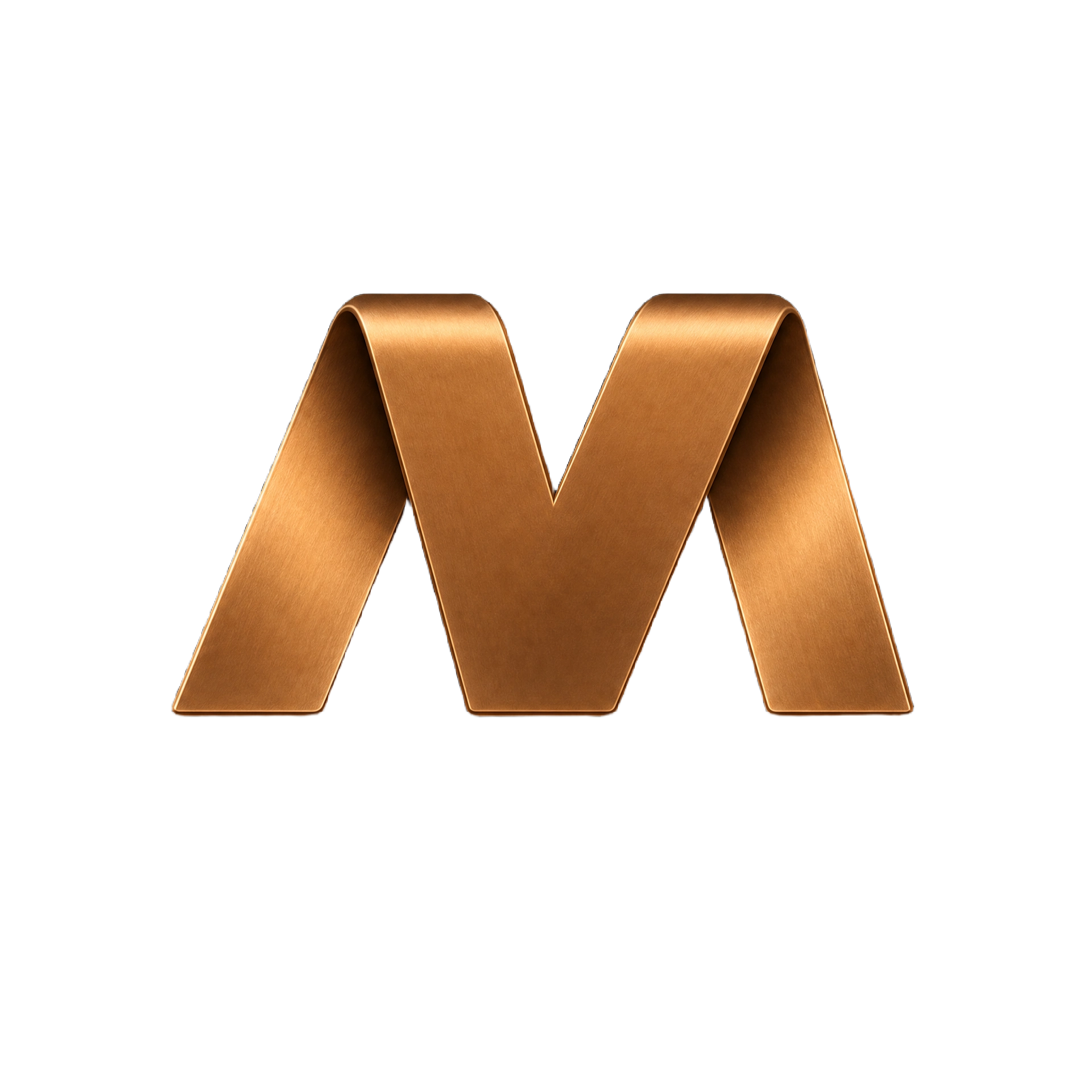 Bronze Supporter