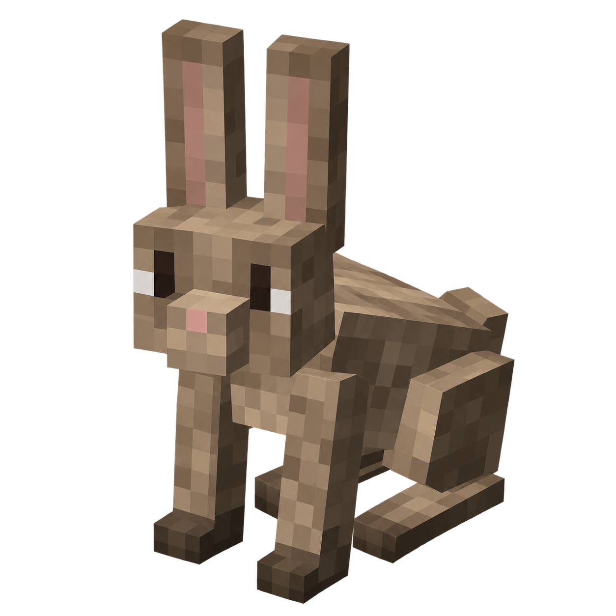 Rabbit Pet