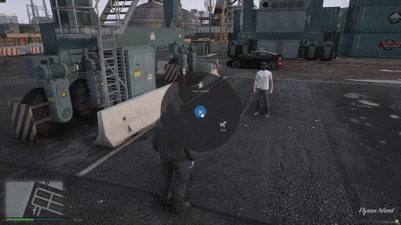 WS Taser Framework