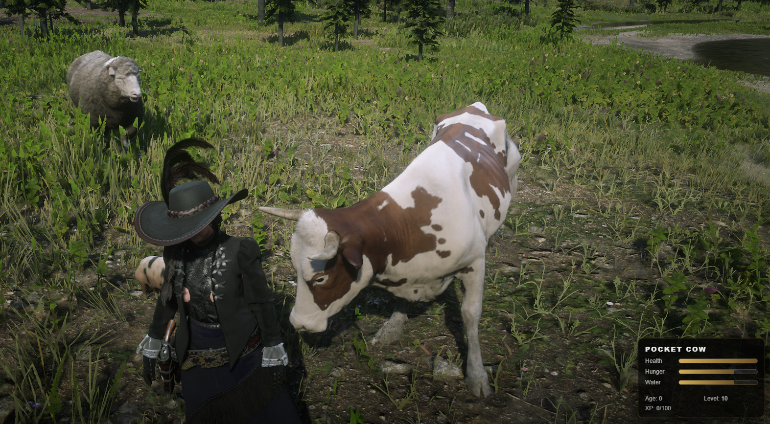 DZ-PocketFarm