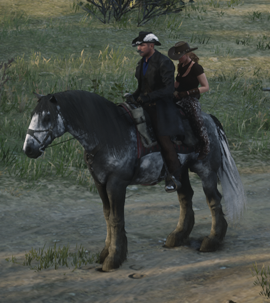 BHG Horse Sharing preview