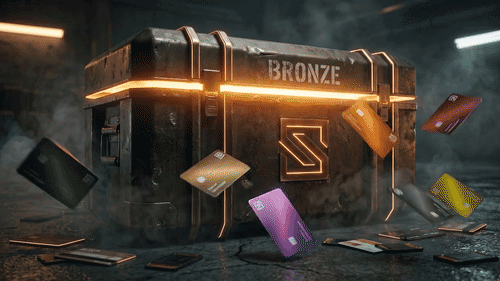 BRONZE BLACK MARKET BUNDLE