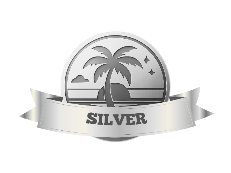 🥈 VIP Silver