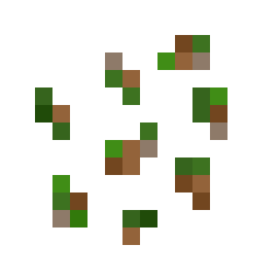 Zucchini Seed