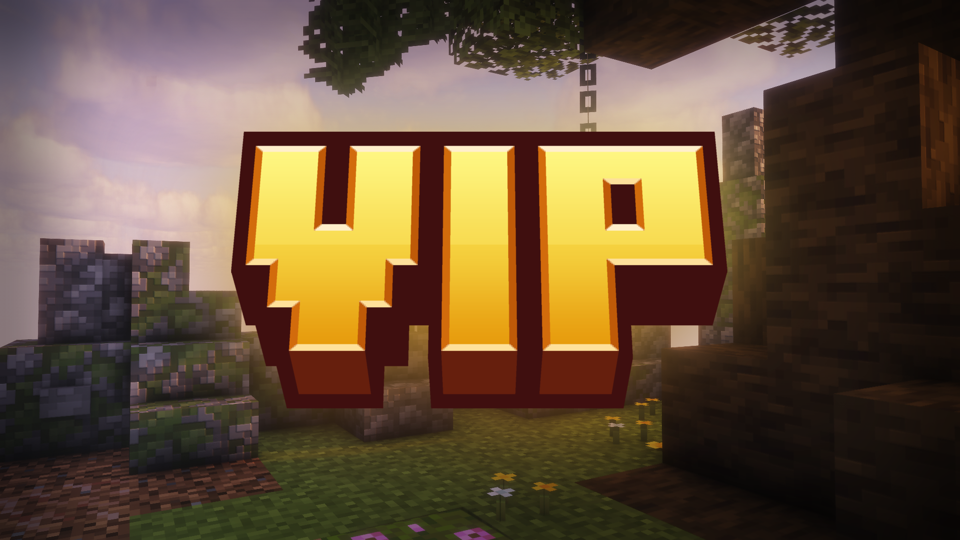 VIP Rank