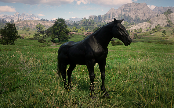 Trakehner Full Black - Femea