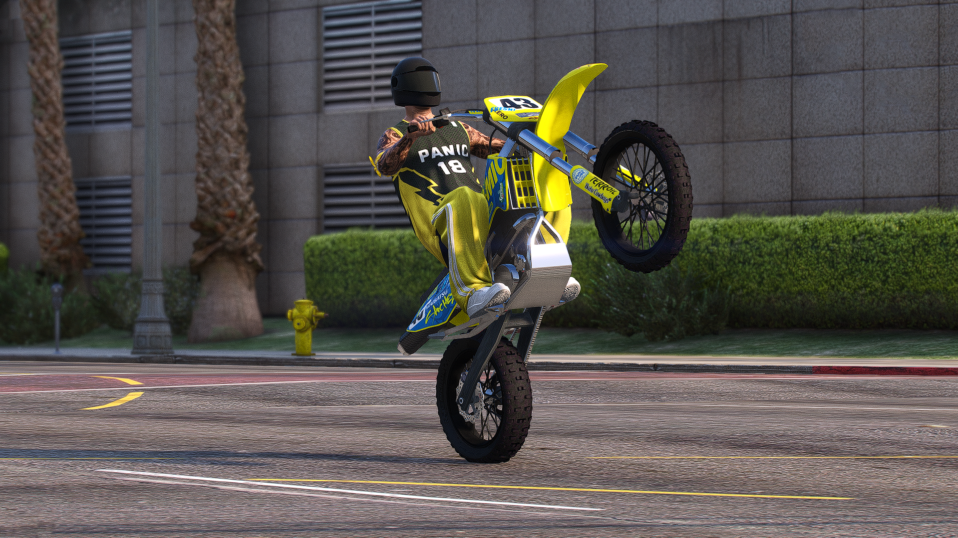Vagos PED