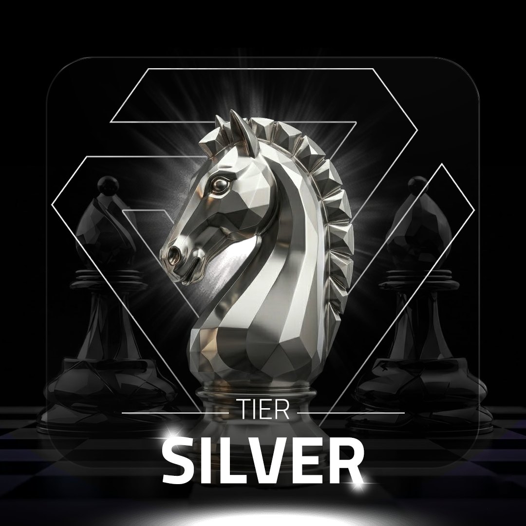 SILVER ENTRY {3 month}