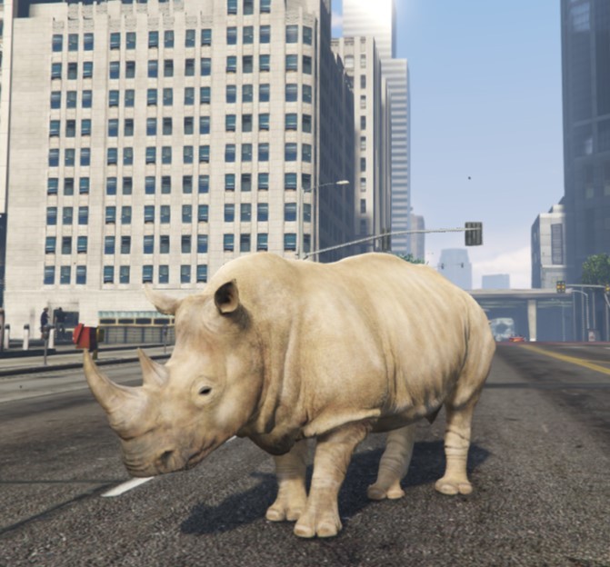 Rhino