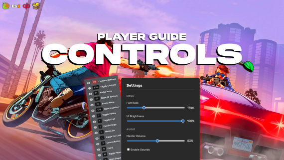 Player Controls Guide