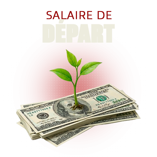 Salaire de Départ - € 10.000