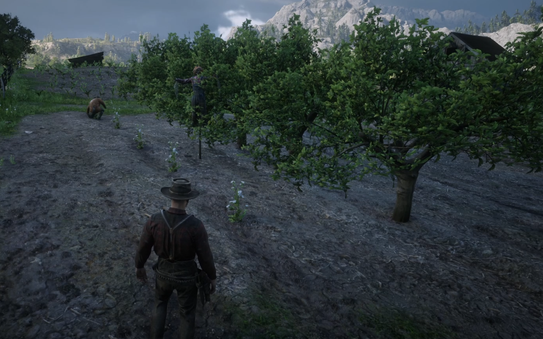 GUM Farming