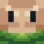 Lilseed Pet